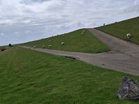 De waddendijk
