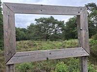 Natuurschilderij