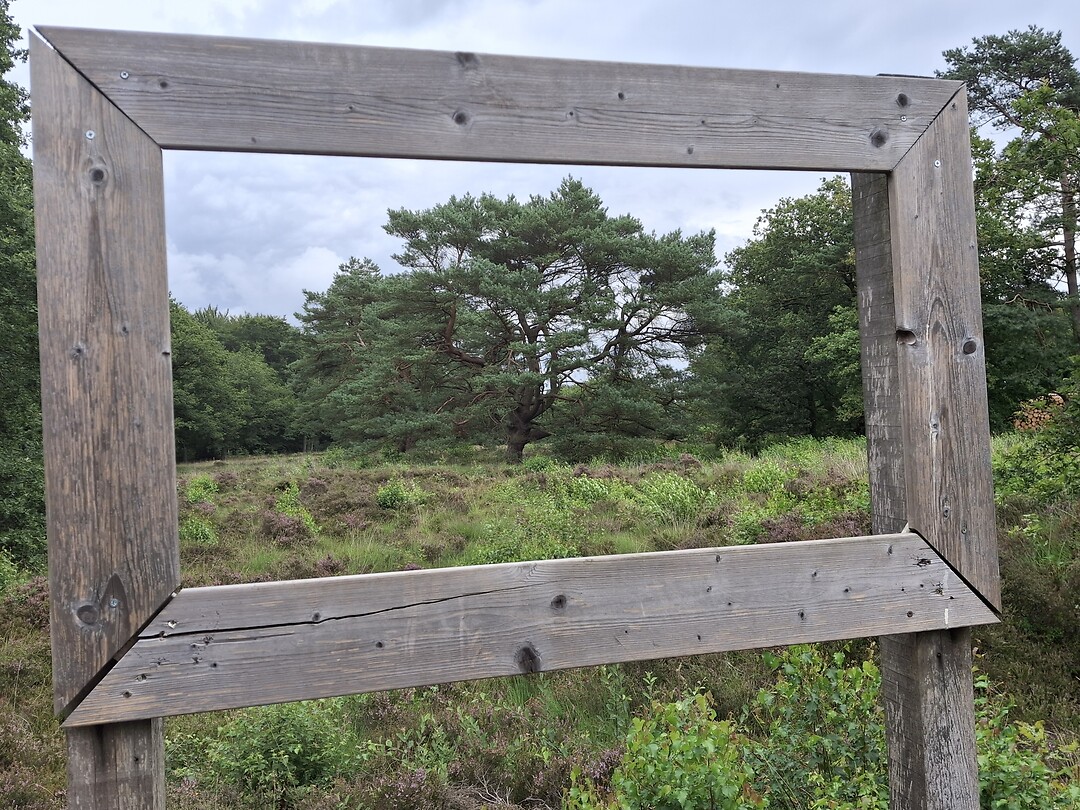 Natuurschilderij
