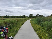Rietlanden overal