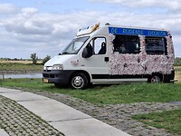 1000033853