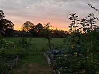 De zon gaat onder
