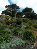 Botanische tuin Wellington