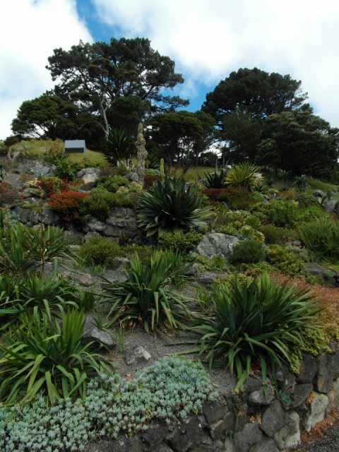 Botanische tuin Wellington