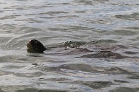 IMG_9040