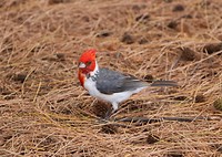 IMG_9401-2