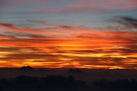 IMG_9587
