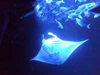 GOPR0320