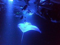 GOPR0328