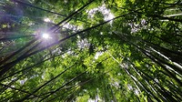 20180625_132752