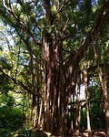 20180625_151900