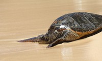 IMG_0414-1
