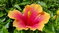 20180628_104409