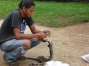 Leuk beest met vier rijen vishaken als tanden