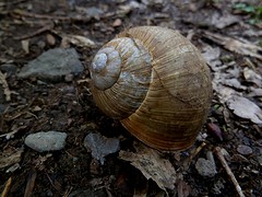 zerkall_04-04-2016 (5) (1024x768)