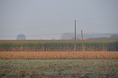 ochtend slakken comines (6)