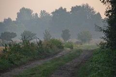 ochtend slakken comines (7)