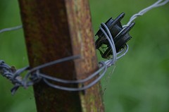 ochtend slakken comines (8)