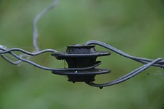 ochtend slakken comines (9)
