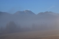 weissenssee_05-02-2017 (5)