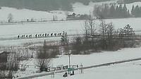 weissensee tschablitser (1)
