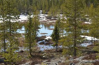 finland santaclaus_20-05-2017 (11)