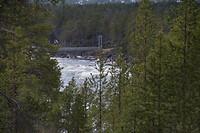 inari_21-05-2017 (12)