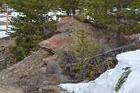 inari_21-05-2017 (18)