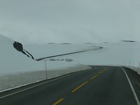 vadso-smorfjord_23-05-2017 (40)