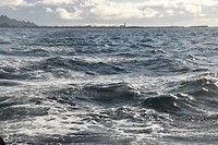 andenes walvis_29-05-2017 (1)