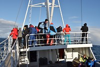 andenes walvis_29-05-2017 (4)
