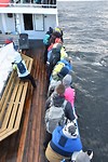 andenes walvis_29-05-2017 (12)