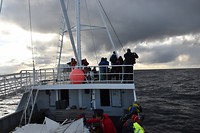 andenes walvis_29-05-2017 (13)
