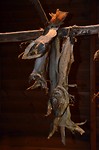 vikingmuseet Borg_01-06-2017 (59)