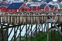 vikingmuseet Borg_01-06-2017 (96)