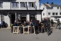 03-06-2017_flakstad-hanoy (12)