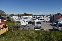 03-06-2017_flakstad-hanoy (14)