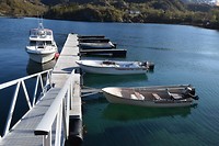 03-06-2017_flakstad-hanoy (22)