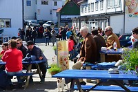 03-06-2017_flakstad-hanoy (31)