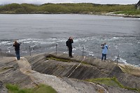 saltstraumen_05-06-2017 (6)