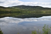 hol_14-06-2017 (4)