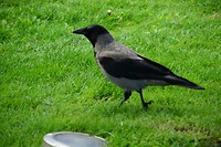 Oslo_17-06-2017 (47)