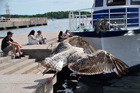 Oslo_17-06-2017 (53)