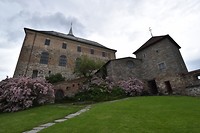 oslo dag2_18-06-2017 (6)