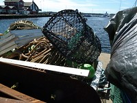 oslo-stromstad_19-06-2017 (14)