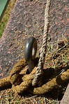 haverud-vanersborg_20-06-2017 (7)