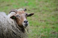 kampen_29-06-2017 (10)