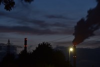 biesbosch_16-08-2017 (2)