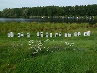 biesbosch_16-08-2017 (15)