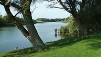 zoutelande wandel_23-08-2017 (3)